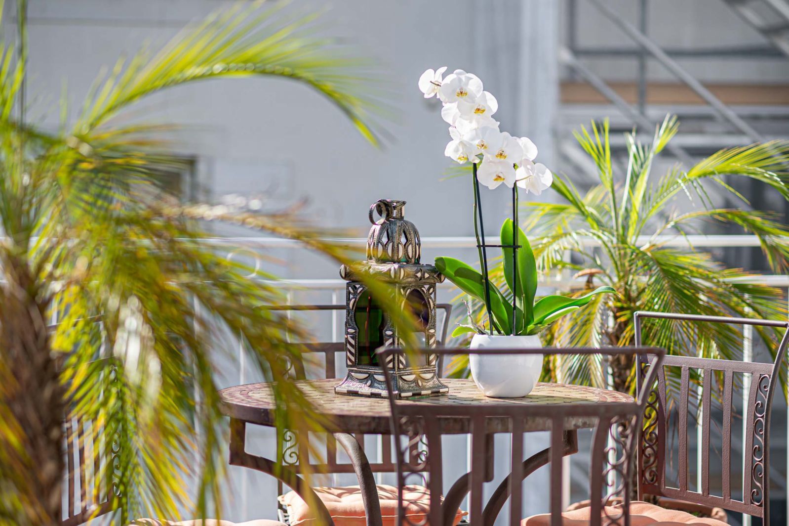 Hotel Kipling Ginevra