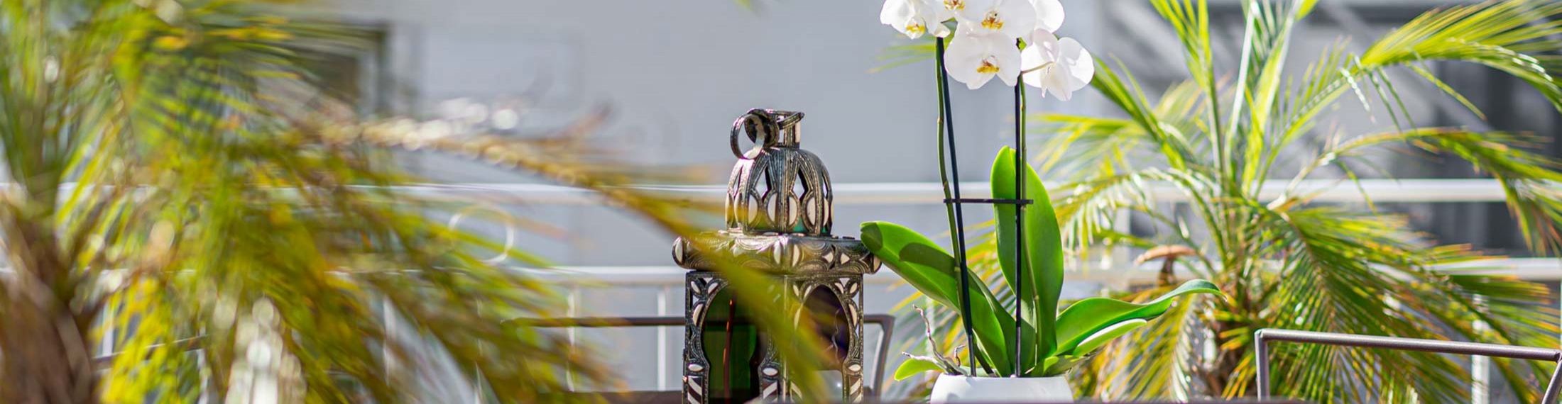 Hotel Kipling